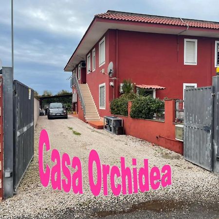 Casa Orchidea Apartment Fiumicino Exterior photo