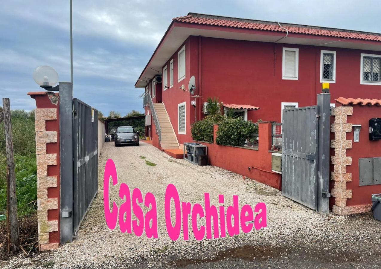 Casa Orchidea Apartment Fiumicino Exterior photo